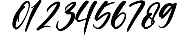 Limited Edition - Signature Script Font 1 Font OTHER CHARS