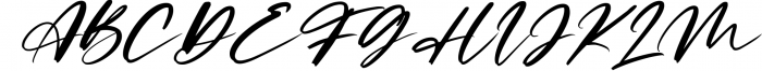 Limited Edition - Signature Script Font 1 Font UPPERCASE