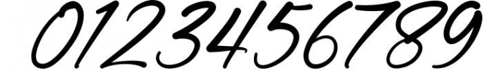Lingerhend - Classic Script Font Font OTHER CHARS