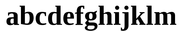 Liberation Serif Bold Font LOWERCASE
