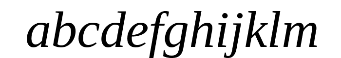 Liberation Serif Italic Font LOWERCASE