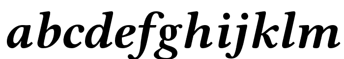 Libertinus Serif Bold Italic Font LOWERCASE