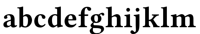 Libertinus Serif Bold Font LOWERCASE
