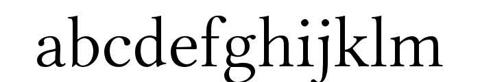 Libertinus Serif Display Font LOWERCASE