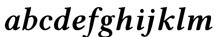 Libertinus Serif Semibold Italic Font LOWERCASE
