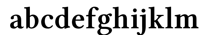 Libertinus Serif Semibold Font LOWERCASE