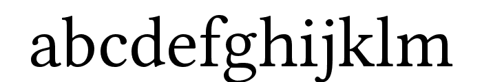 Libertinus Serif Font LOWERCASE