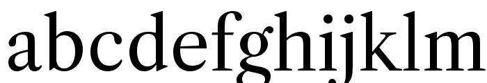 LibreCaslonText-Regular Font LOWERCASE