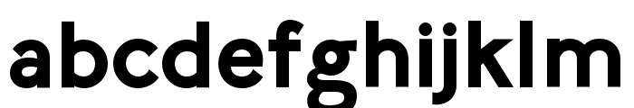LilGrotesk Bold Font LOWERCASE