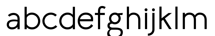 LilGrotesk Font LOWERCASE