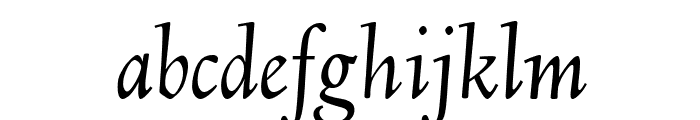 Linden Hill Italic Font LOWERCASE
