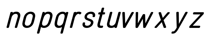 Linguineve Regular Italic Font LOWERCASE
