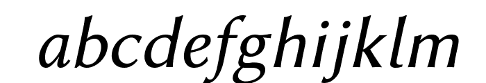 Linux Biolinum Italic Font LOWERCASE