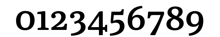 Literata Book SemiBold Font OTHER CHARS