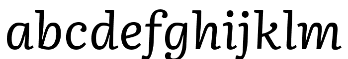 Literata Italic Font LOWERCASE