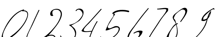 Livingston Signature Font OTHER CHARS