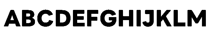 LINE Seed JP 800 Font UPPERCASE