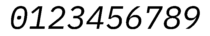Lilex Italic Font OTHER CHARS