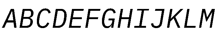 Lilex Italic Font UPPERCASE