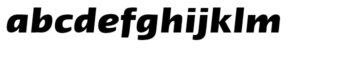 Linotype Ergo Hebrew Bold Italic Font LOWERCASE