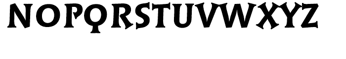 Linotype Syntax Lapidar Serif Display Heavy Font UPPERCASE