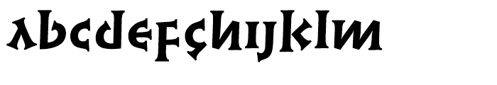 Linotype Syntax Lapidar Serif Text Heavy Font LOWERCASE