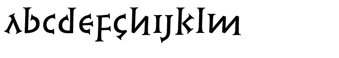 Linotype Syntax Lapidar Serif Text Medium Font LOWERCASE