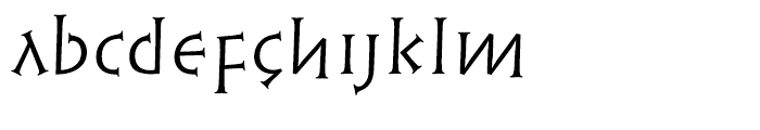 Linotype Syntax Lapidar Serif Text Regular Font LOWERCASE