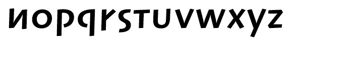 Linotype Syntax Lapidar Text Bold Font LOWERCASE