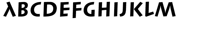 Linotype Syntax Lapidar Text Heavy Font UPPERCASE