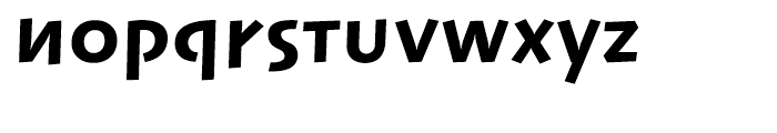 Linotype Syntax Lapidar Text Heavy Font LOWERCASE