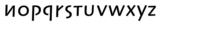 Linotype Syntax Lapidar Text Medium Font LOWERCASE