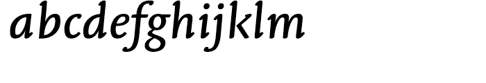 Linotype Syntax Letter Medium Italic Font LOWERCASE