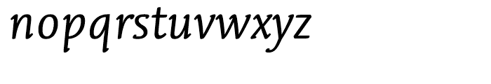 Linotype Syntax Letter Regular Italic Font LOWERCASE