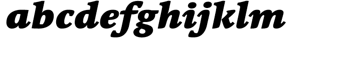 Linotype Syntax Serif Black Italic Font LOWERCASE