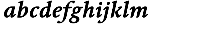 Linotype Syntax Serif Bold Italic Font LOWERCASE