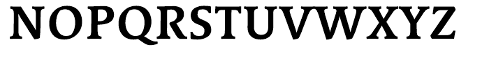 Linotype Syntax Serif Bold Font UPPERCASE