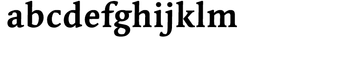 Linotype Syntax Serif Bold Font LOWERCASE