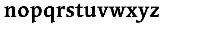 Linotype Syntax Serif Bold Font LOWERCASE