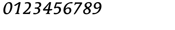 Linotype Syntax Serif Medium Italic Font OTHER CHARS