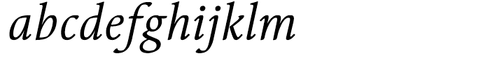 Linotype Syntax Serif Regular Italic Font LOWERCASE