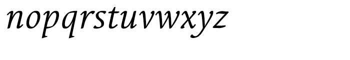 Linotype Syntax Serif Regular Italic Font LOWERCASE
