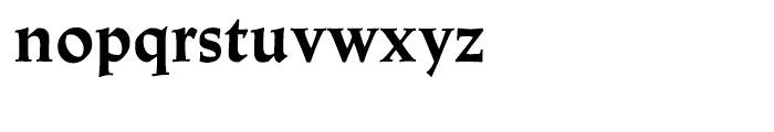 Linotype Trajanus Bold Font LOWERCASE