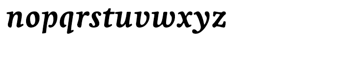 Livory Bold Italic Font LOWERCASE