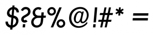 Litera Serial Bold Italic Font OTHER CHARS