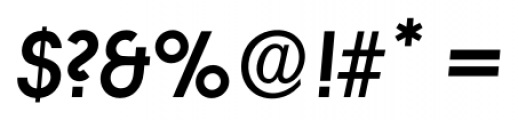 Litera Serial Heavy Italic Font OTHER CHARS