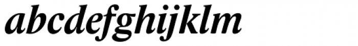 Lido STF Bold Italic Font LOWERCASE