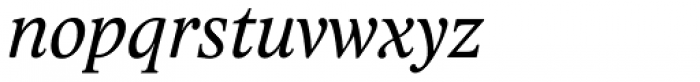Lido STF Italic Font LOWERCASE
