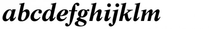 Life Bold Italic Font LOWERCASE