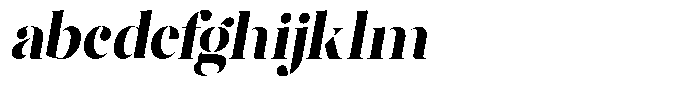 Lifestyle Icons Bold Slanted FONT